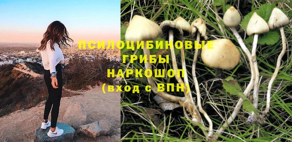 СК Инсар
