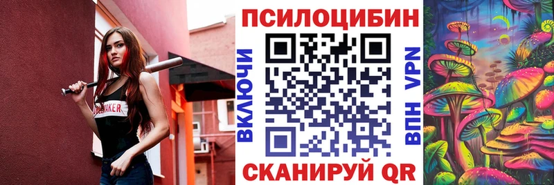 Купить где  Грайворон  Псилоцибиновые грибы Psilocybine cubensis 